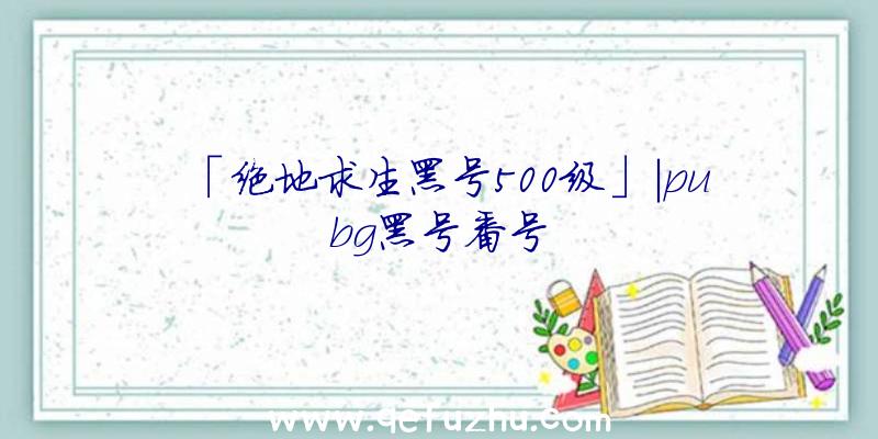 「绝地求生黑号500级」|pubg黑号番号